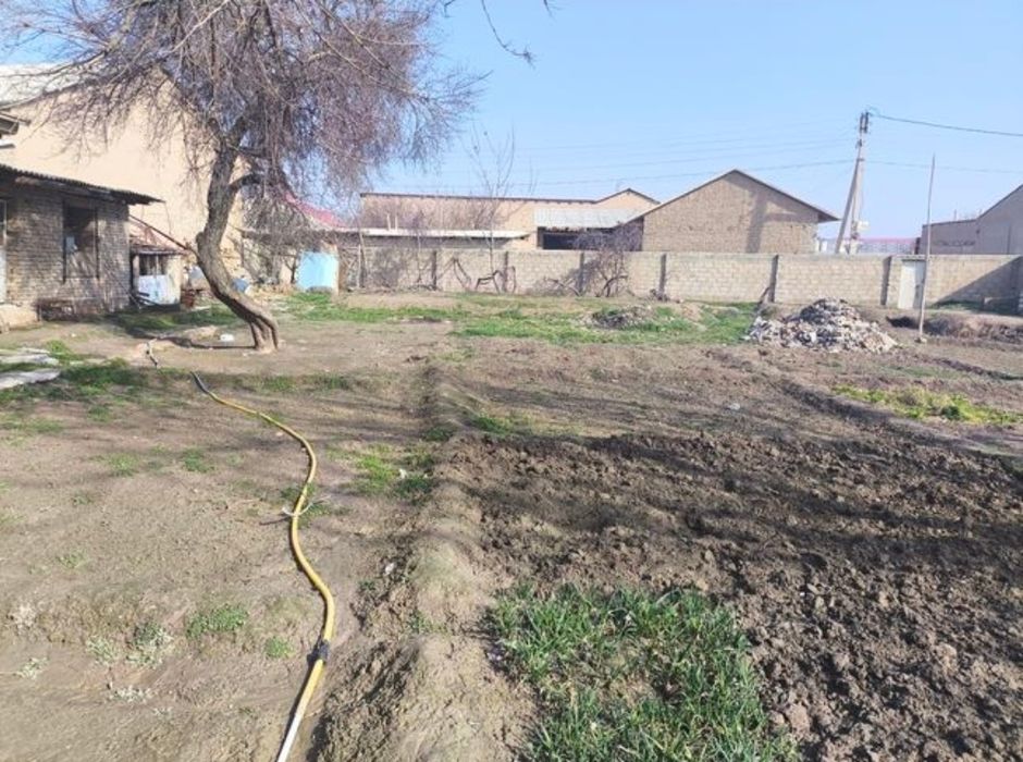 Hovli sotiladi 6 sutixi