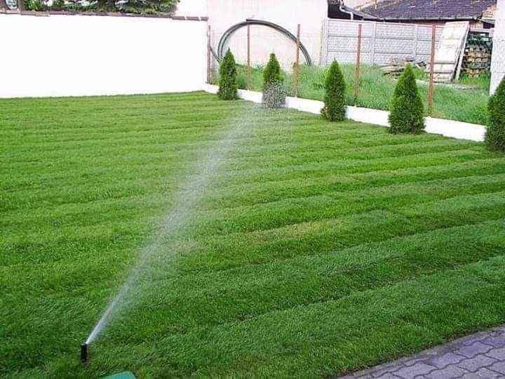 Vand gazon rulou piatră decorativă plante ornamentale pt det sunați