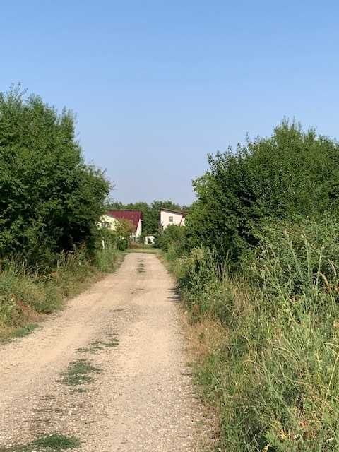 Teren 1000 mp  intravilan Tancabesti Snagov