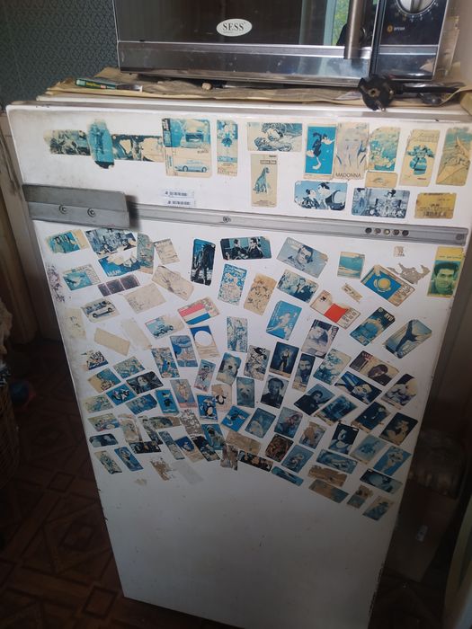 Холодильник Бирюса