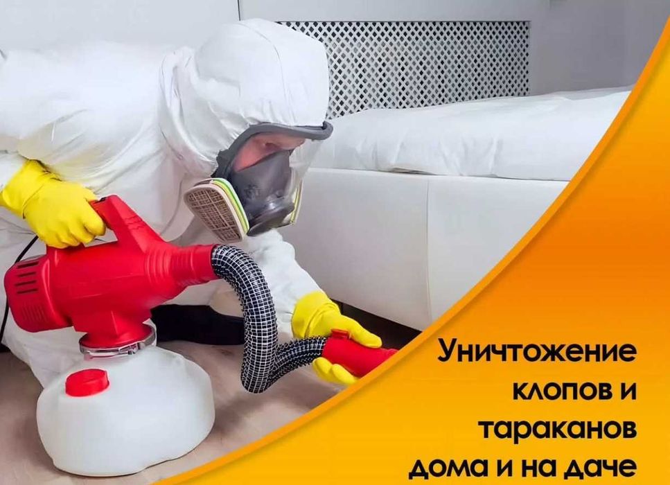 3 yil kafolat! Dezinfeksiya Dezinseksiya Deratizatsiya klop tarakan