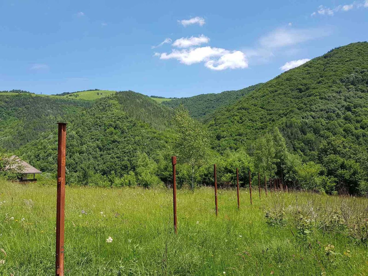 Продава се Парцел в с. Рибарица, Област Ловеч - 3000 кв.м за 32 €/кв.м - Снимка #6