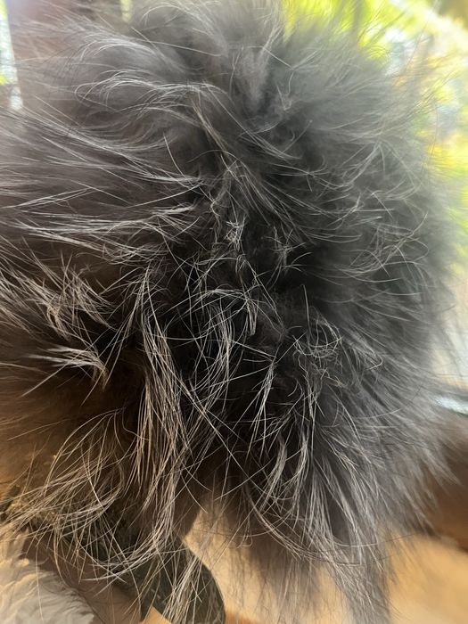 Шапка  сребърна лисица ест. косъм