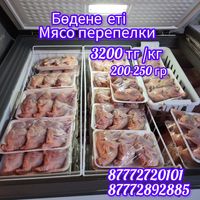 Мясо перепелки бөдене еті перепела