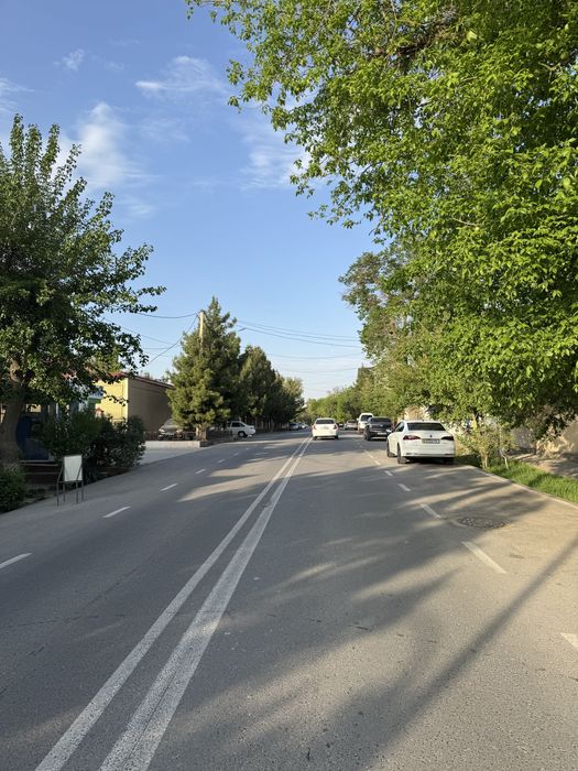 Sibirki kuchasidan xovli sotilyapti