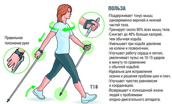 Палки для скандинавской ходьбы