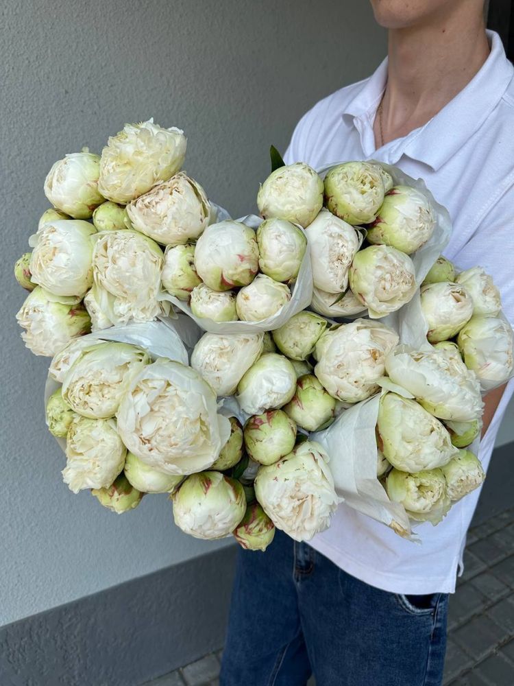 Пионы,цветы,розы