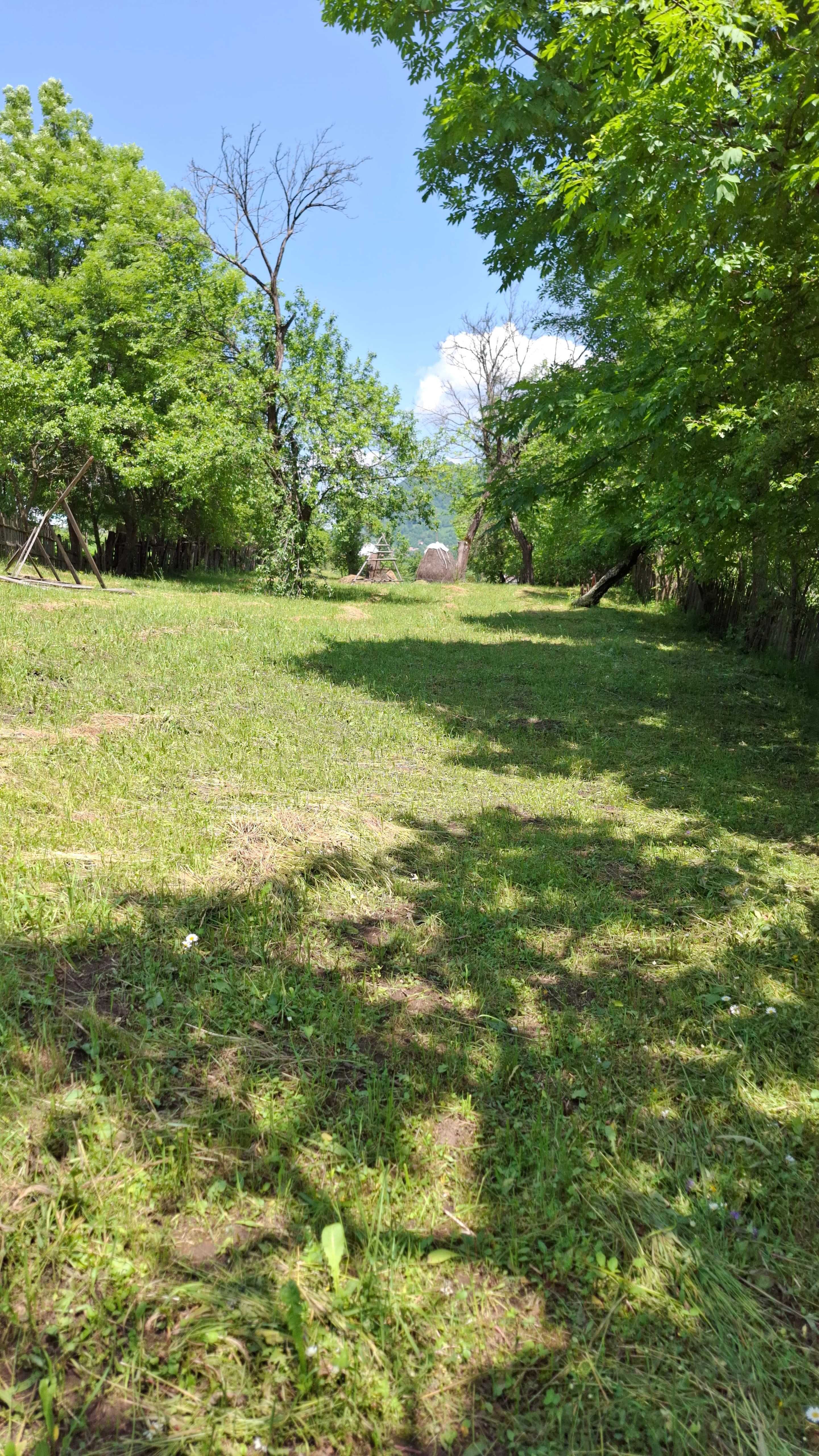 Teren intravilan 2244 m2, in Comuna Valea Doftanei, Sat Tesila