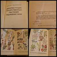 Дикорастущие лекарственные растения Таджикистана. Книга.