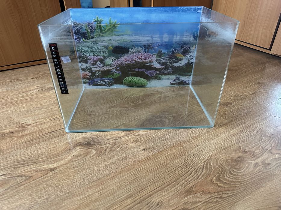 Vand acvarii cu accesorii