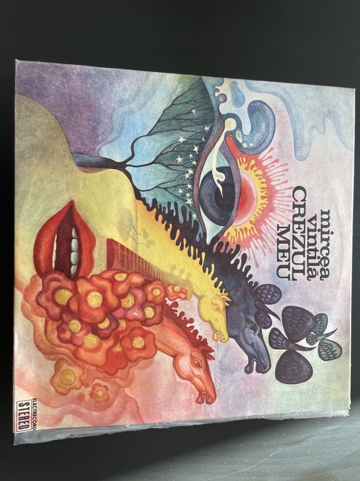 Discuri de vinil - muzică folk, clasică, ușoară