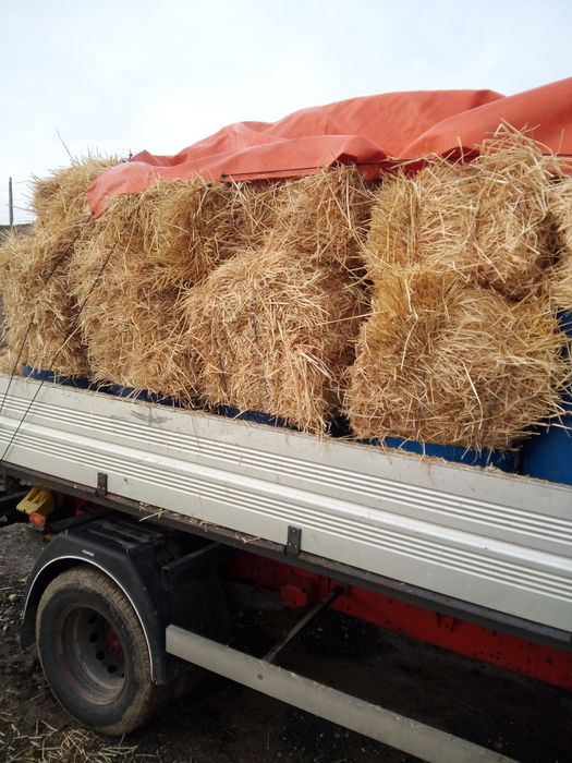 Mici dreptunghiulari corbu cta transport ccost