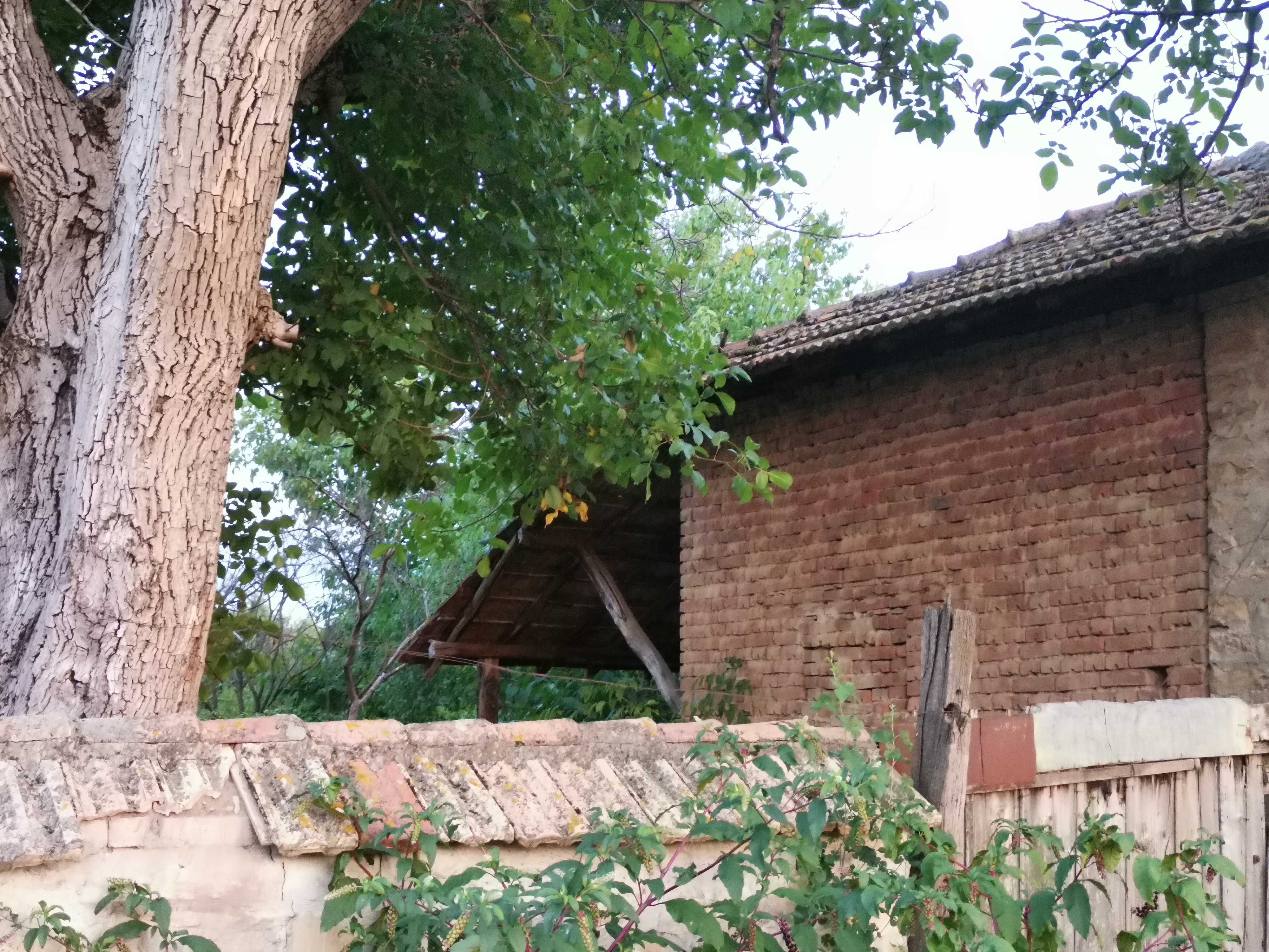 Kъща с двор - село Куцина, обл. В. Търново / House near Veliko Tarnovo
