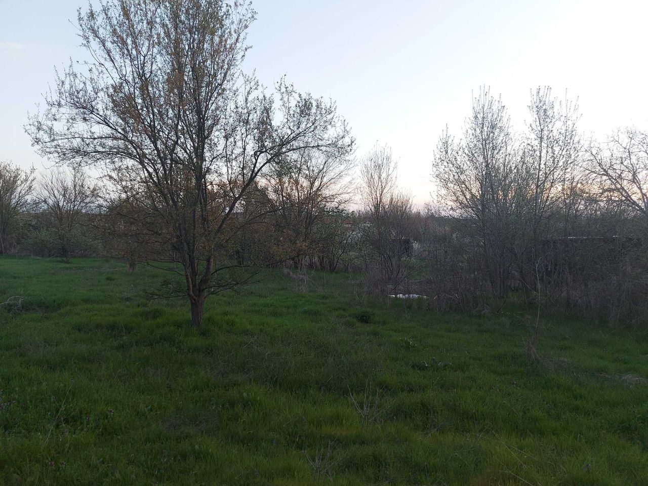 Продава се Парцел в с. Пъстрен, Област Стара Загора - 1414 кв.м за 3 €/кв.м - Снимка #6