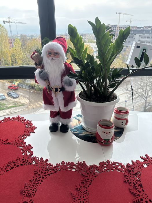 Новогодишни чинии, 1 снимка = 25 лв, всичко 50 лв