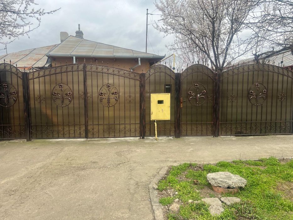 Vand casa Radu Negru