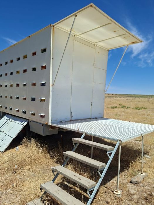 Пасека ( пчелопавильон )