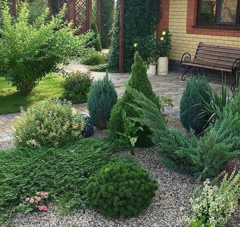 Amenajari grădini și spații verzi cu gazon și plante ornamentale și co