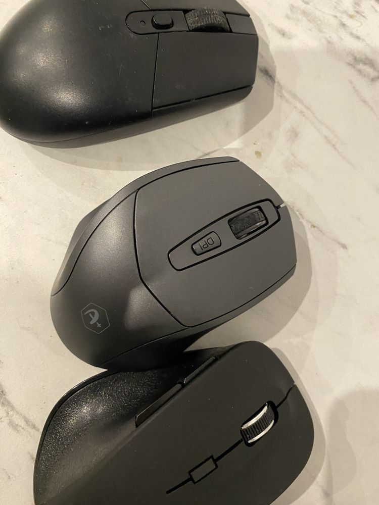 4 Mouse functionale