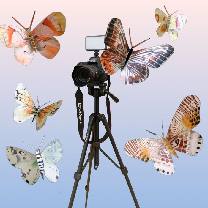 Canon mark 2 kamera