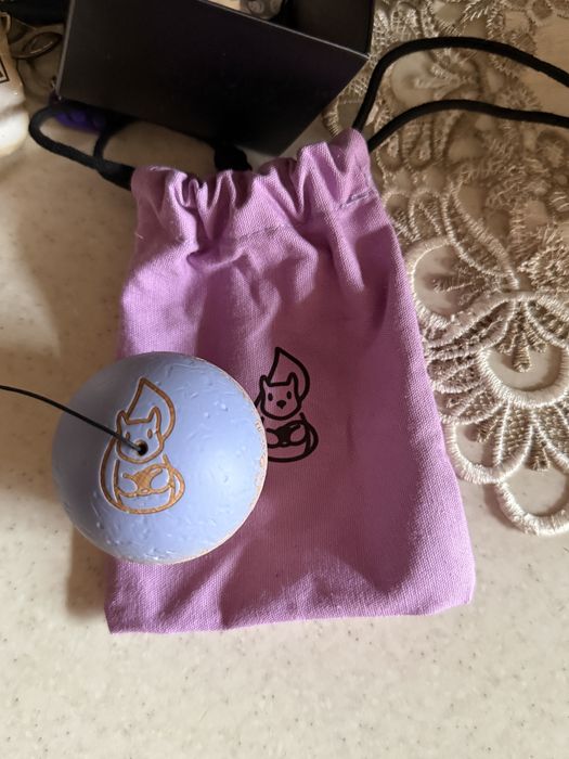 Tama miguel, schimb doar josh kim