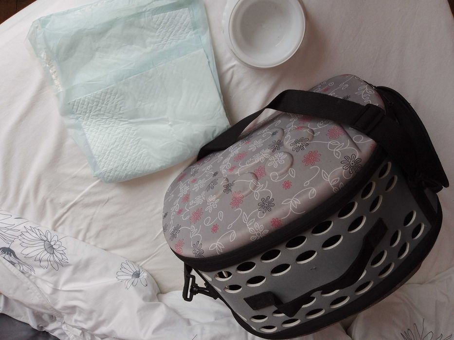 Geanta Transport pentru Caine talie mica sau Pisica si alte Accesorii