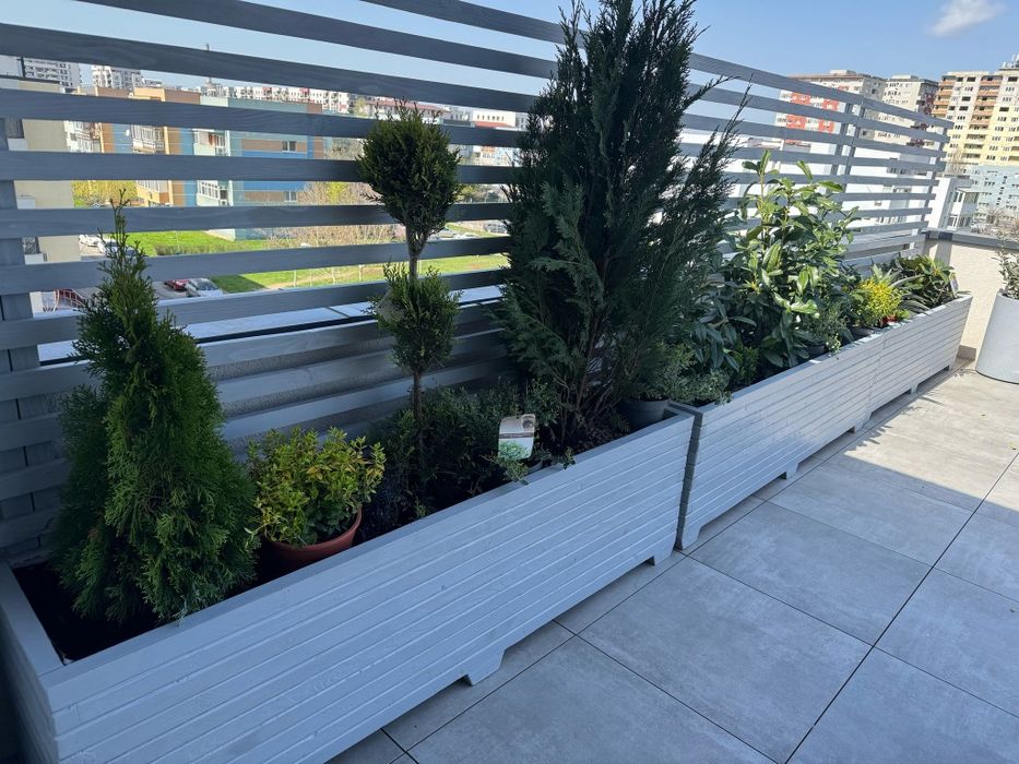 Jardiniere din lemn masiv