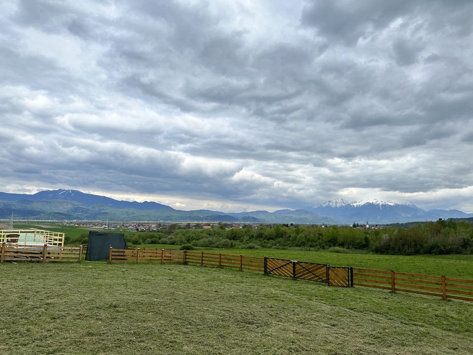 Teren Vulcan de vis RAR DISPONIBIL ( Colonia 1 Mai ) loturi proprietar