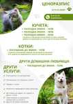 Разходка на кучета, грижи за котки и други домашни любимци. Цени.