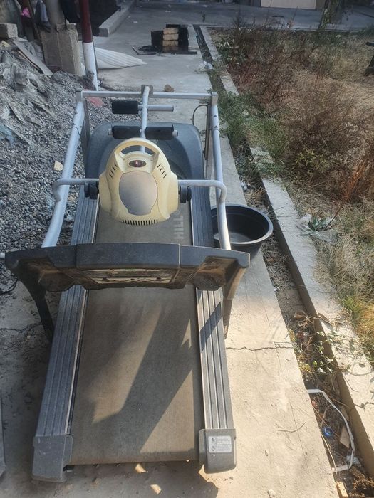 Беговой дарошка.