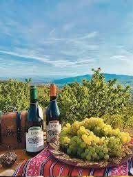 Vand otonel de vin transpor gratuit