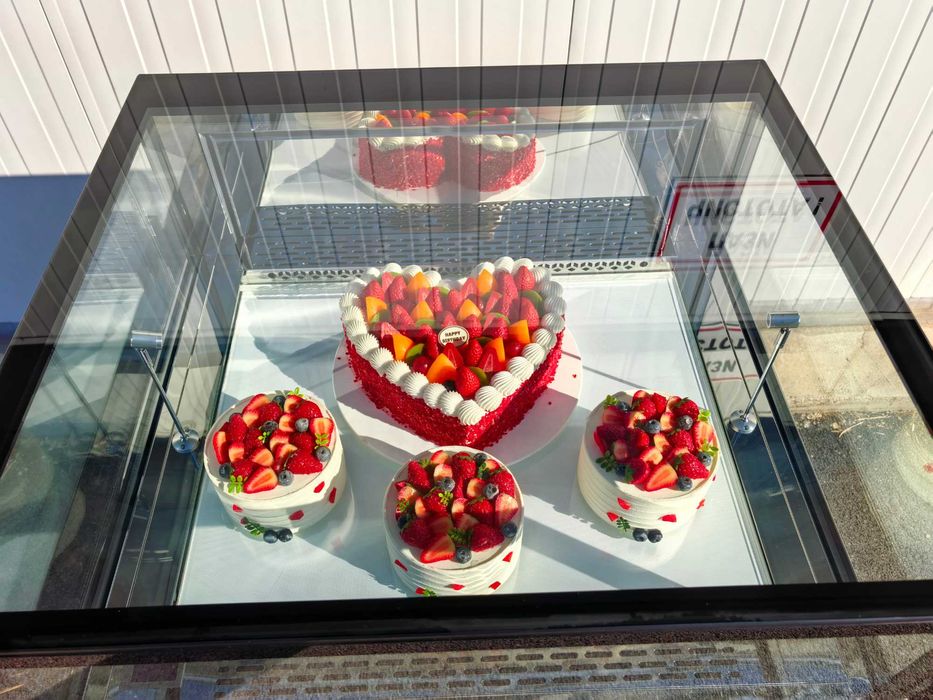 Хладилна витрина 270 литра, CM-900B