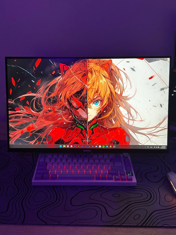 Игровой монитор SANC M2433PA (165 Гц, IPS, 23.8″) + кронштейн NB F80