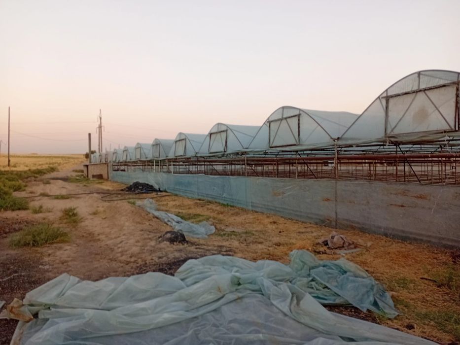 Теплица жерімен бірге сатылады. Менен жеке ұсыныс бар,описание оқыңыз