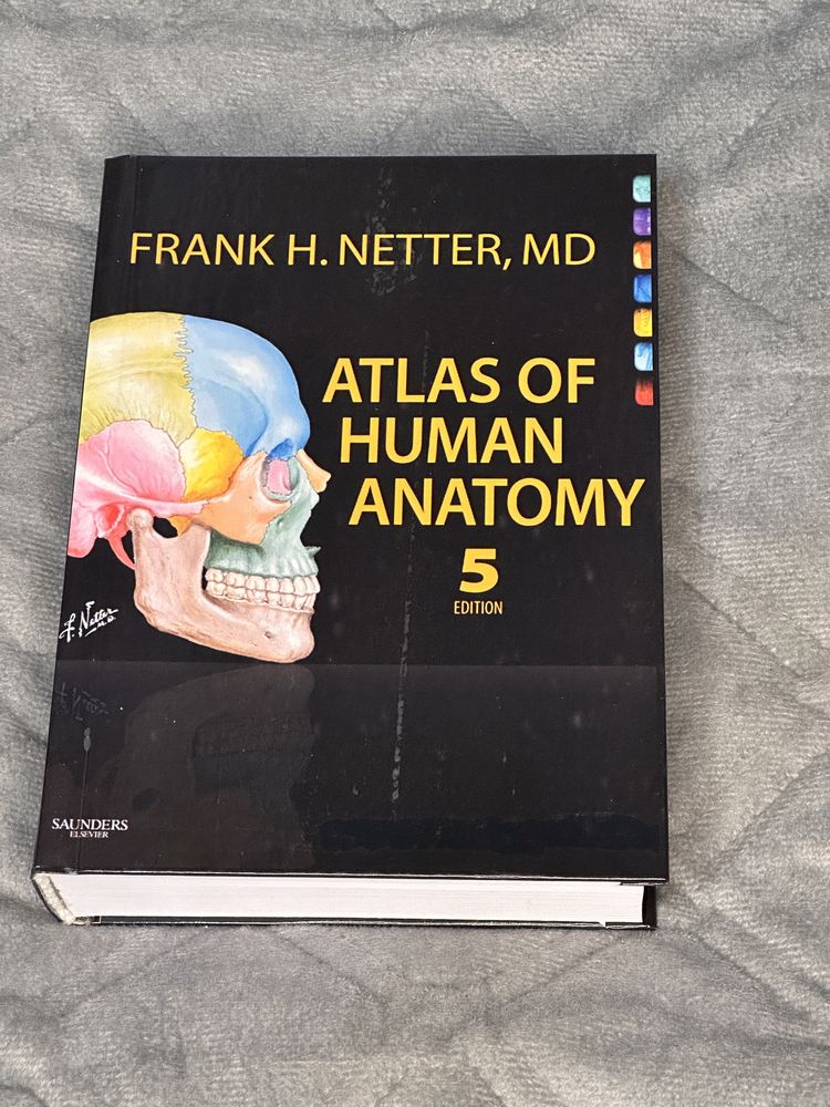 Атлас по анатоми человека
