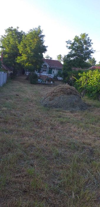 Case de vânzare în Văleni, Vaslui – 4.500 m² teren