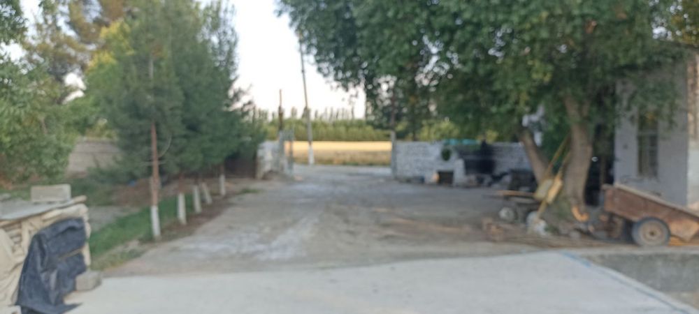 Biznes uchun bino katta maydonli