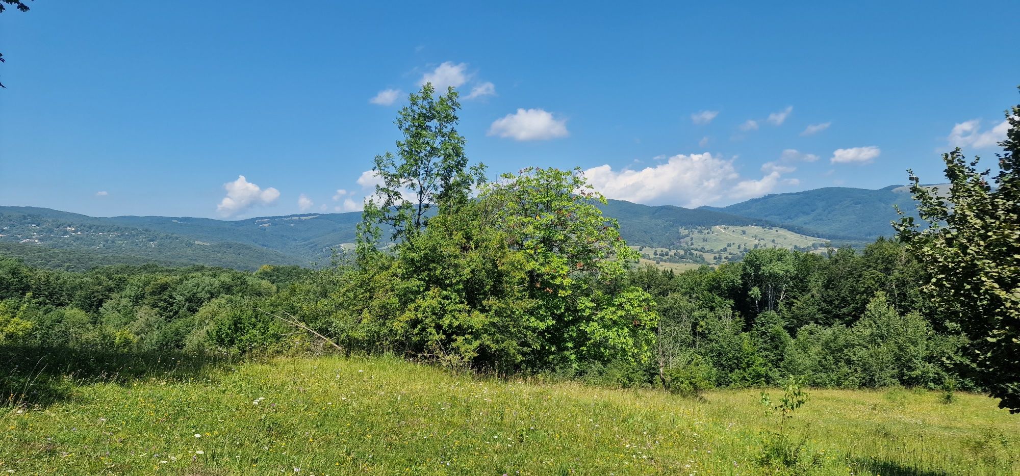 Teren Talea-Breaza lângă pădure