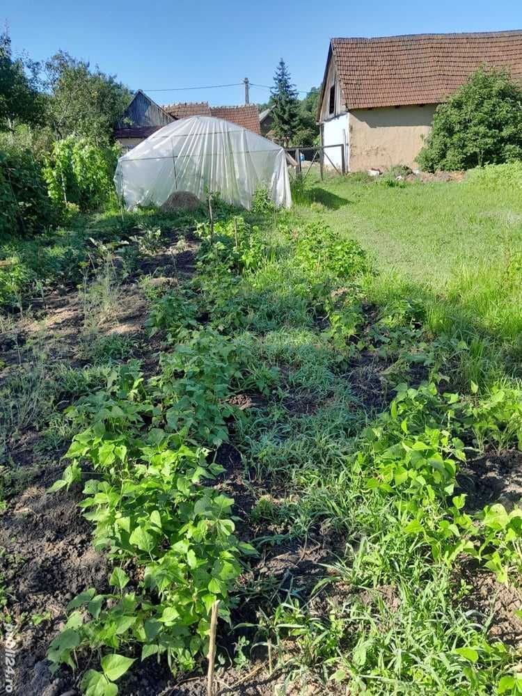 Proprietate de vanzare