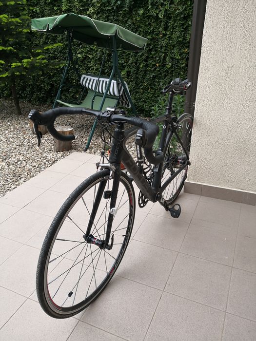 Cursiera carbon Focus