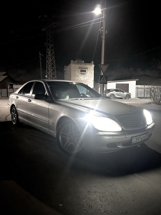 Продам лисичку или обмен