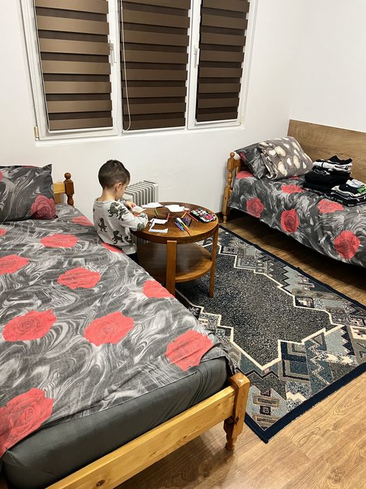 Багер Услуги област Пловдив малак 2,5 тона