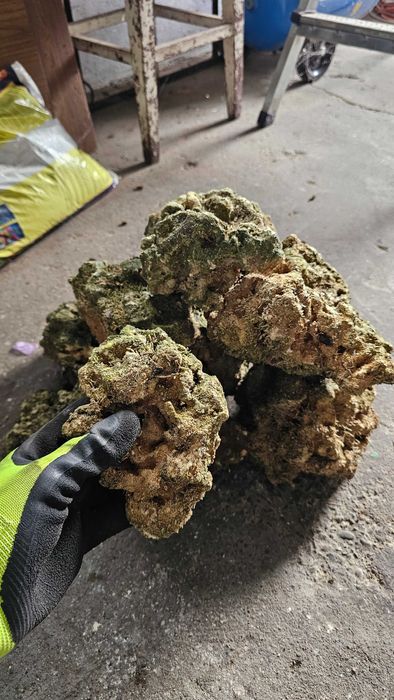 Piatra Acvariu Marin Reef Saver 15 Kg.