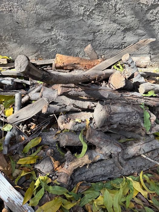 Tekinga otin bor текинга утин бор