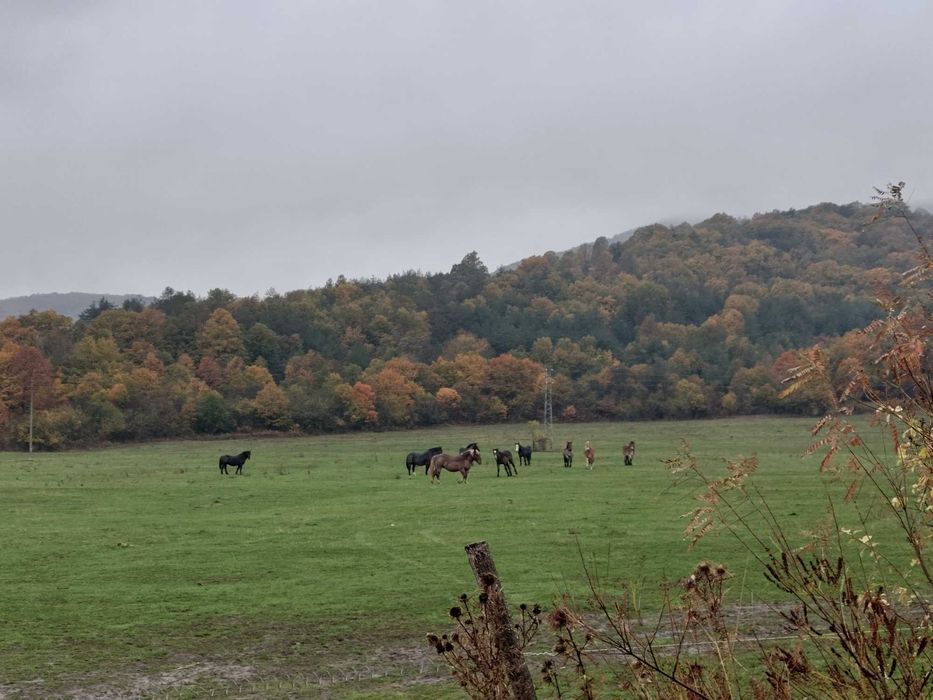 Парцел в регулация, ток и вода