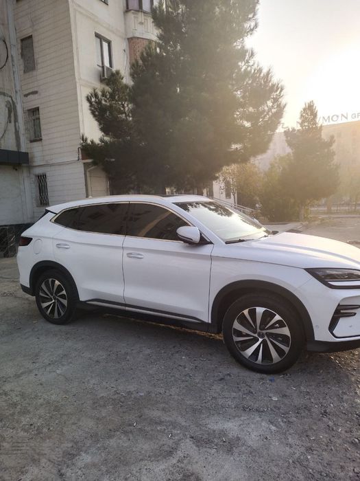 Byd song plus champion 2024