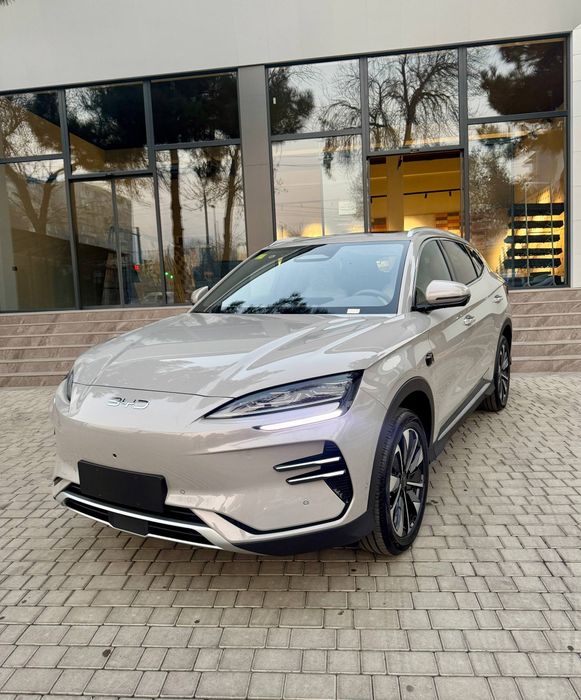 Byd Champion Smart full 605