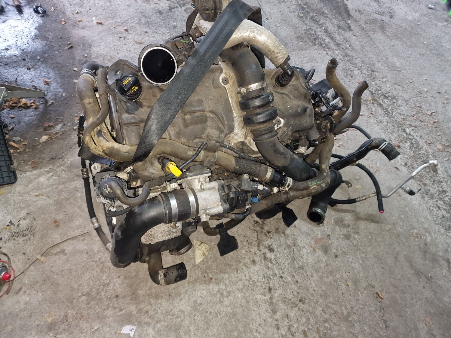 Bloc motor chiuloasa ax came ford transit custom 2.0 euro 6