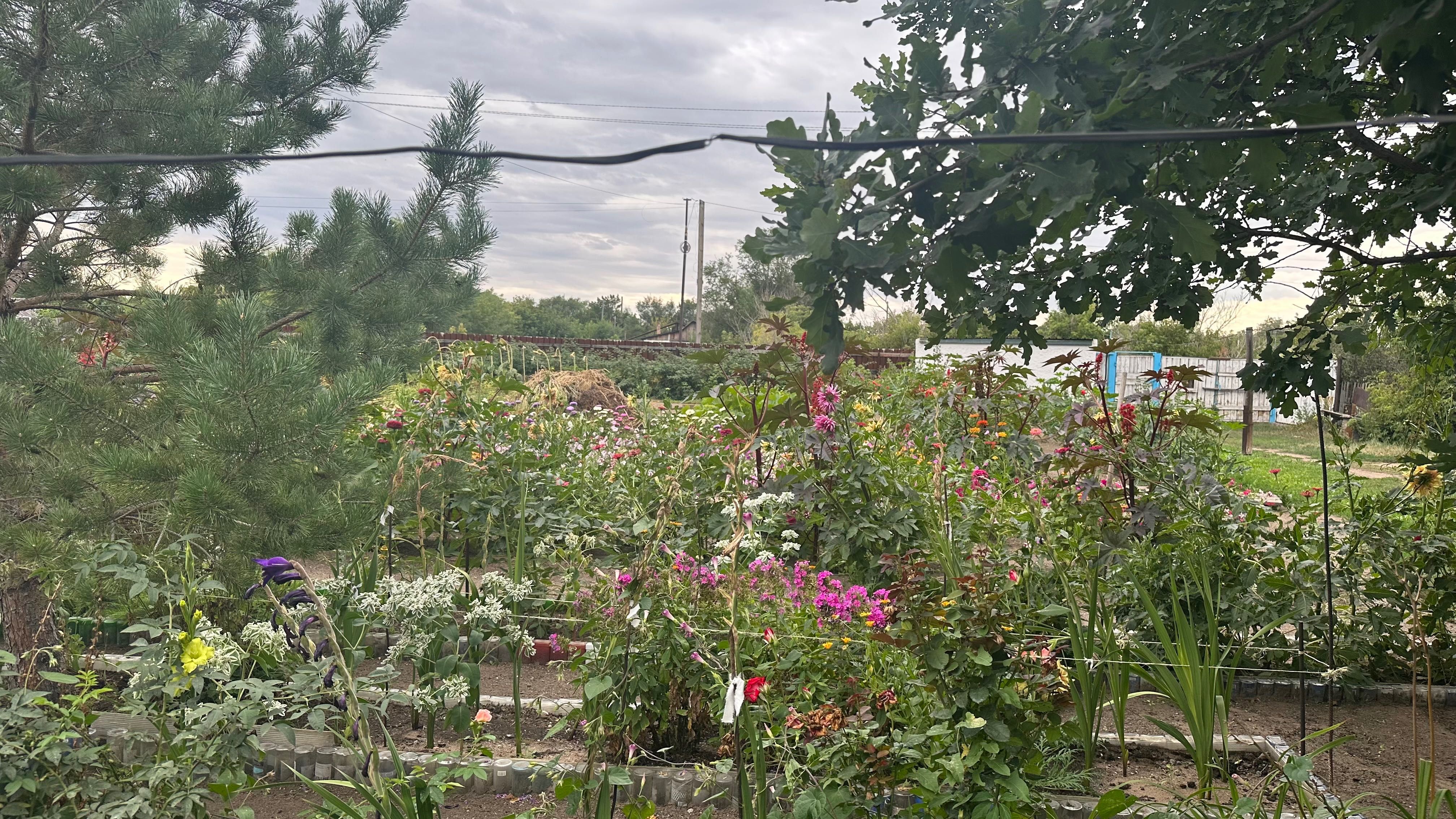 Продается 3 ком. Отдельно стоящий дом. П.Северо-западный