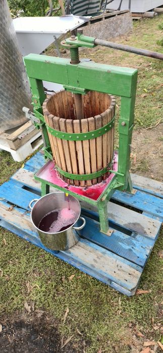 Presa struguri robix AS 36